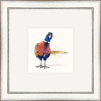 Only Me - Pheasant Only Me - Pheasant