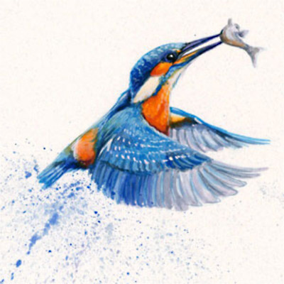 Out Of The Blue (Kingfisher)
