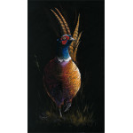 Cock of the Walk (Pheasant) Cock of the Walk (Pheasant)