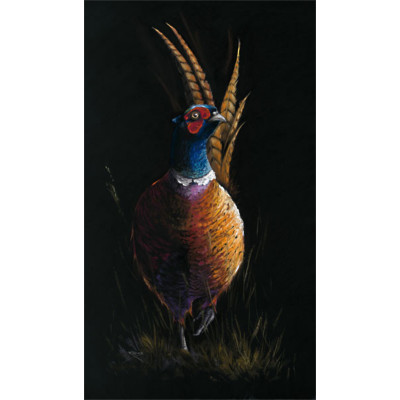 Cock of the Walk (Pheasant)
