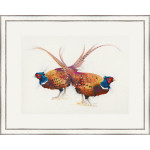 Pheasant Greetings (Pheasant) - LGE