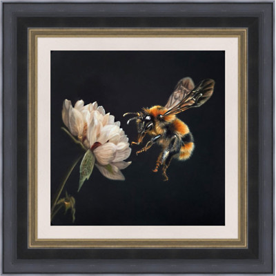 Sarah Eden - The Pollinator (Bee) Sarah Eden - The Pollinator (Bee)