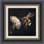 Sarah Eden - The Pollinator (Bee)