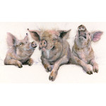 Porky Pies (Pigs) Porky Pies (Pigs)