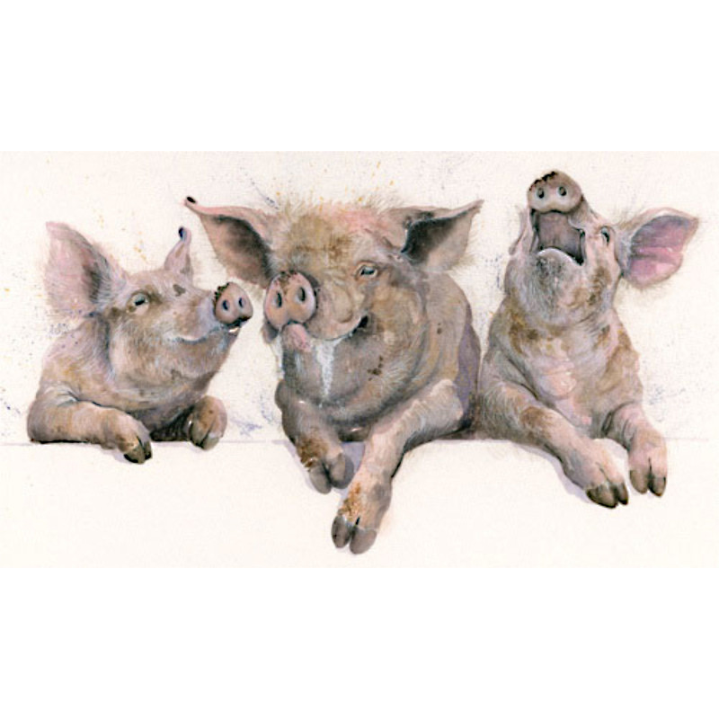 Porky Pies (Pigs) Porky Pies (Pigs)