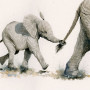 Pull The Other One (Elephants) - LGE