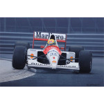 The Racing Line - Ayrton Senna The Racing Line - Ayrton Senna
