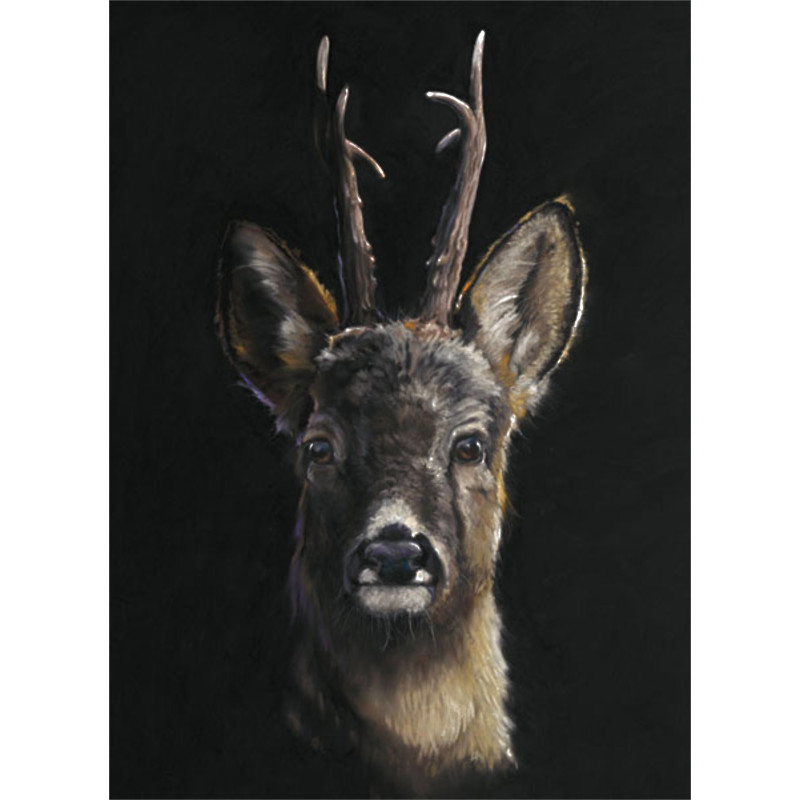 Roe Call - Roe Deer Roe Call - Roe Deer