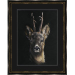 Roe Call - Roe Deer Roe Call - Roe Deer