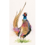 Romeo (Pheasant) - LGE Romeo (Pheasant) - LGE