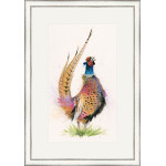 Romeo (Pheasant) - LGE Romeo (Pheasant) - LGE