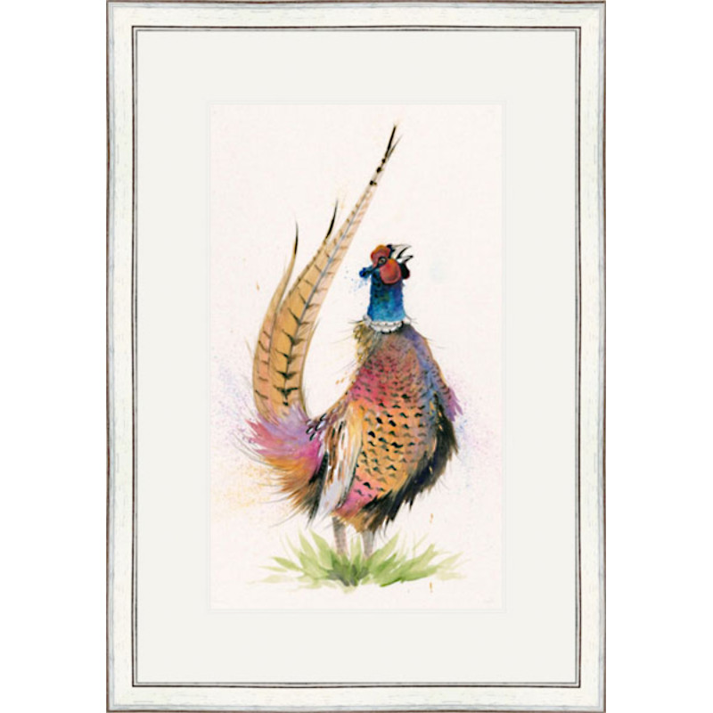 Romeo (Pheasant) - LGE Romeo (Pheasant) - LGE