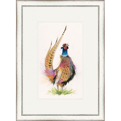 Romeo (Pheasant) - SML Romeo (Pheasant) - SML
