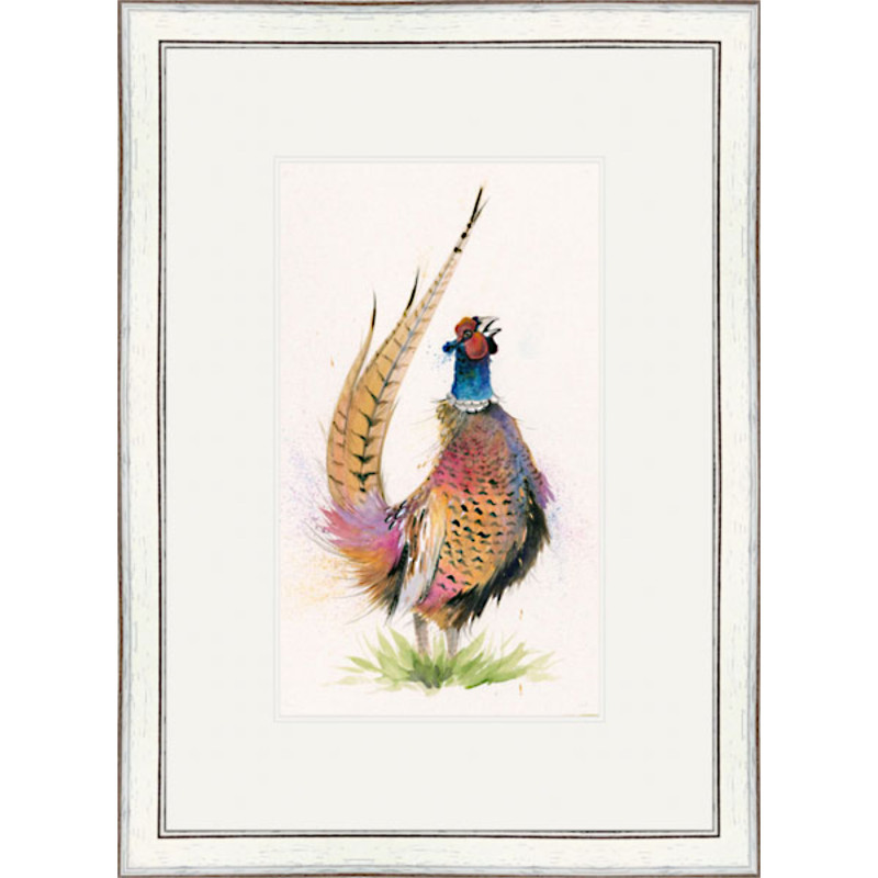 Romeo (Pheasant) - SML Romeo (Pheasant) - SML