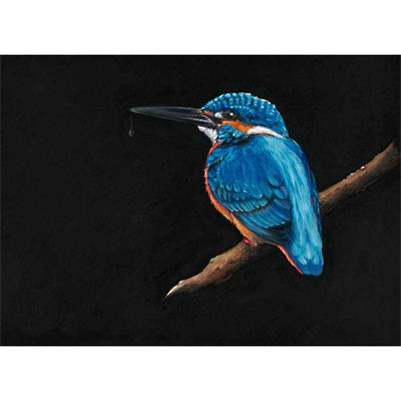 Royal Blue (Kingfisher) - LGE Royal Blue (Kingfisher) - LGE
