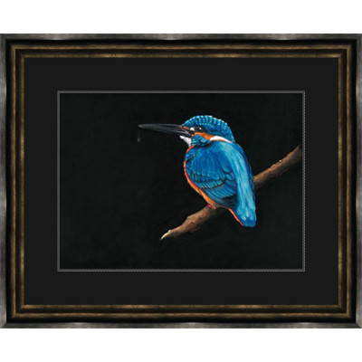 Royal Blue (Kingfisher) - LGE