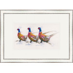 Running Order (Pheasants)
