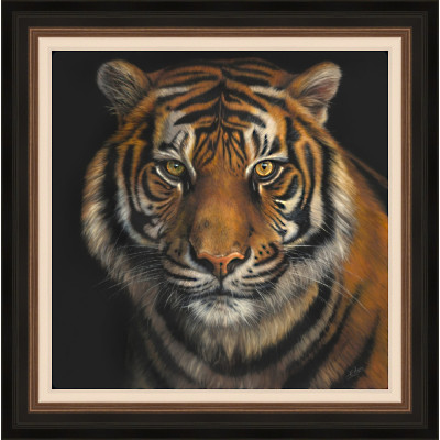 Sarah Eden - Hungry Eyes (Tiger)