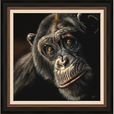Sarah Eden - Reflection (Chimp)
