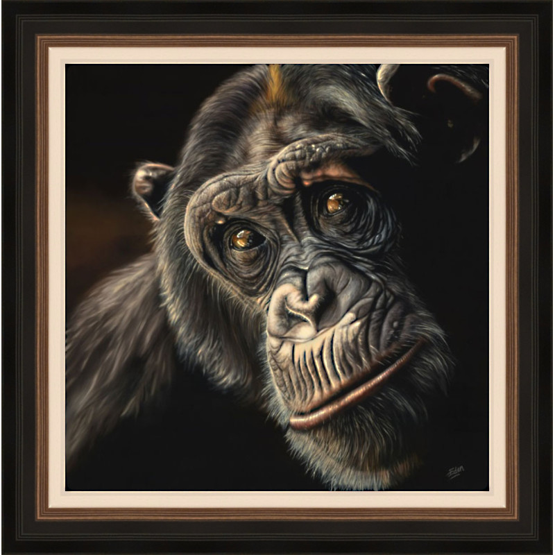 Sarah Eden - Reflection (Chimp) Sarah Eden - Reflection (Chimp)