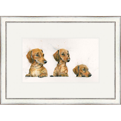 Sausages (Dachsunds) - SML Sausages (Dachsunds) - SML