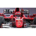 Schumacher (Canvas)