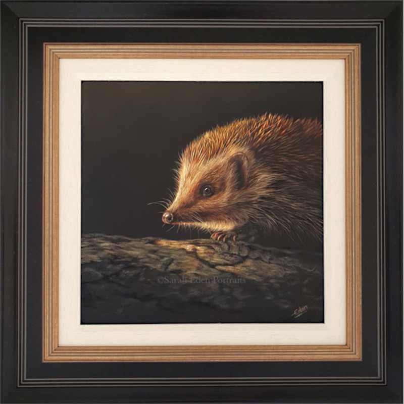 Sarah Eden - Scout (Hedgehog) Sarah Eden - Scout (Hedgehog)