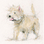 Scruff (Westie) Scruff (Westie)