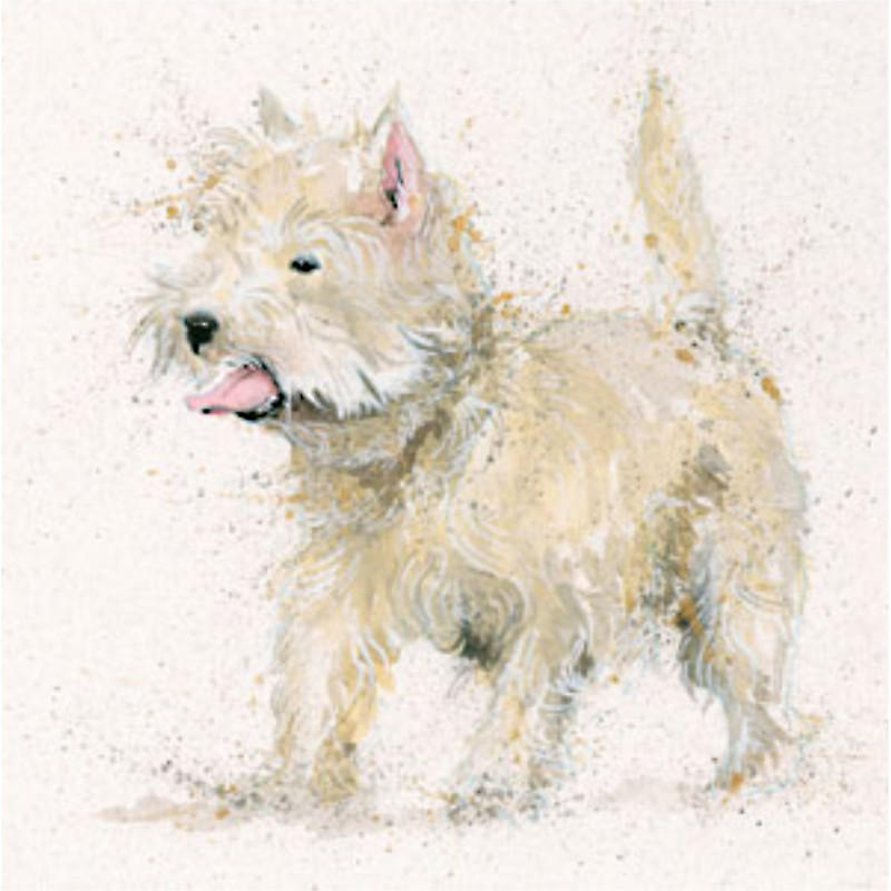 Scruff (Westie) Scruff (Westie)