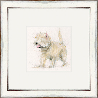 Scruff (Westie) Scruff (Westie)