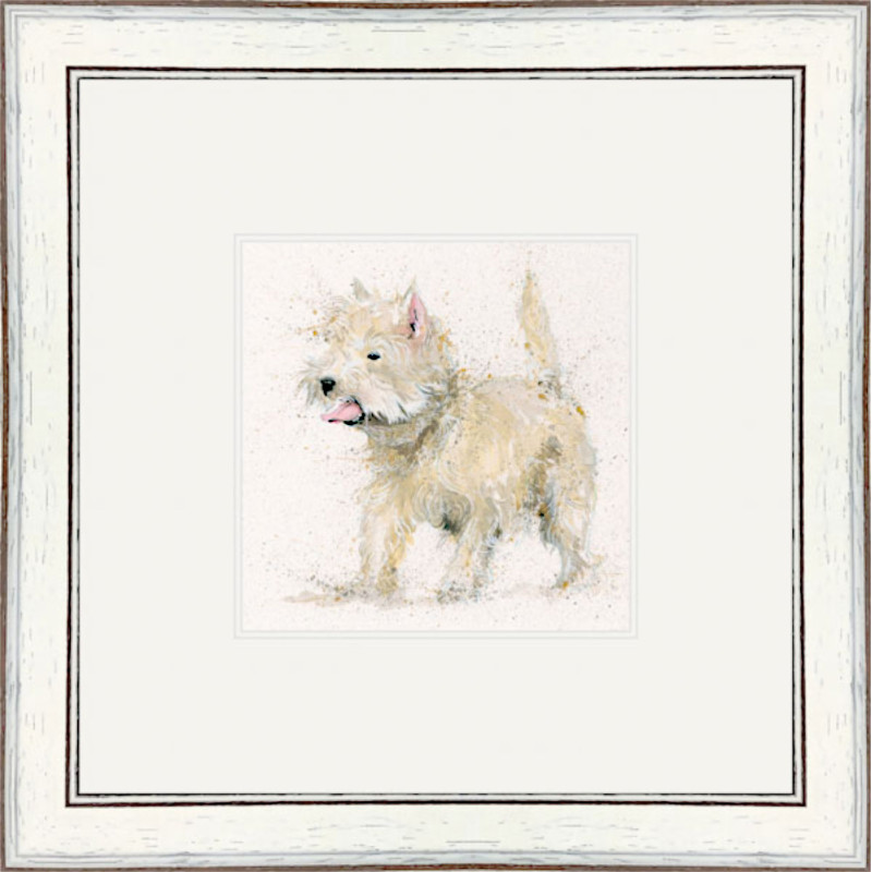 Scruff (Westie) Scruff (Westie)