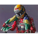 Senna - Brazilian Hero (Canvas)