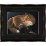 Sly By Night (LGE) - Kay Johns Sly By Night (LGE) - Kay Johns