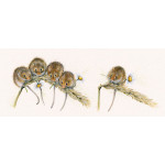 Social Distancing (Dormice) Social Distancing (Dormice)