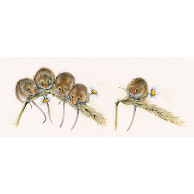 Social Distancing (Dormice)