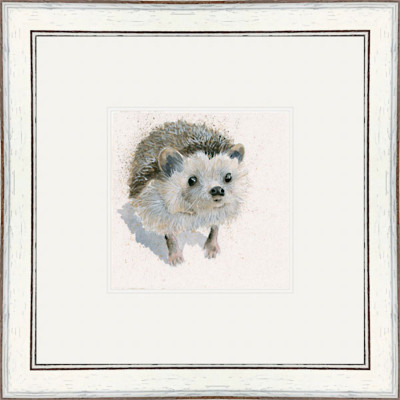Spike (Hedgehog)