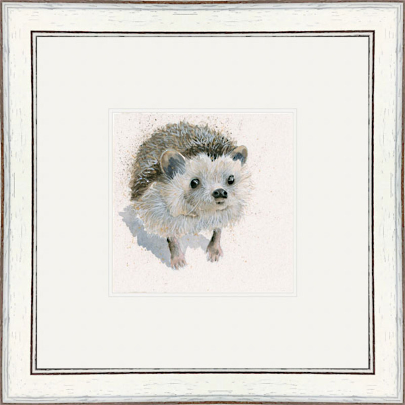 Spike (Hedgehog)