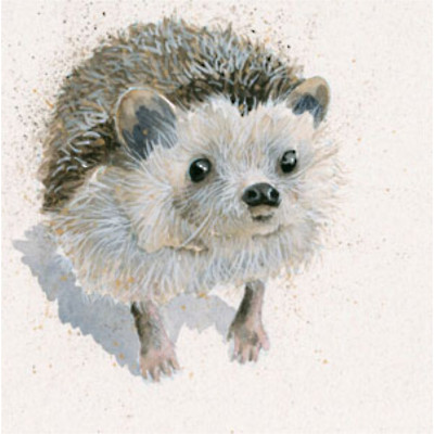 Spike (Hedgehog)