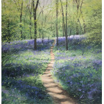Spring Shadows Spring Shadows