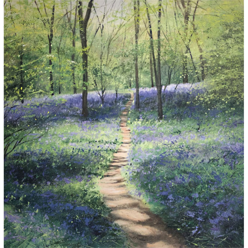 Spring Shadows Spring Shadows