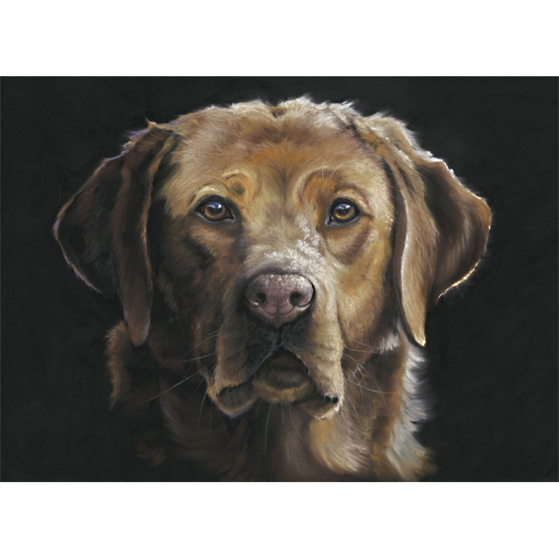 Red Eye - Fox Red Labrador LGE Red Eye - Fox Red Labrador LGE