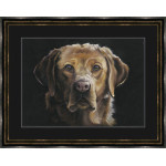 Red Eye - Fox Red Labrador LGE Red Eye - Fox Red Labrador LGE