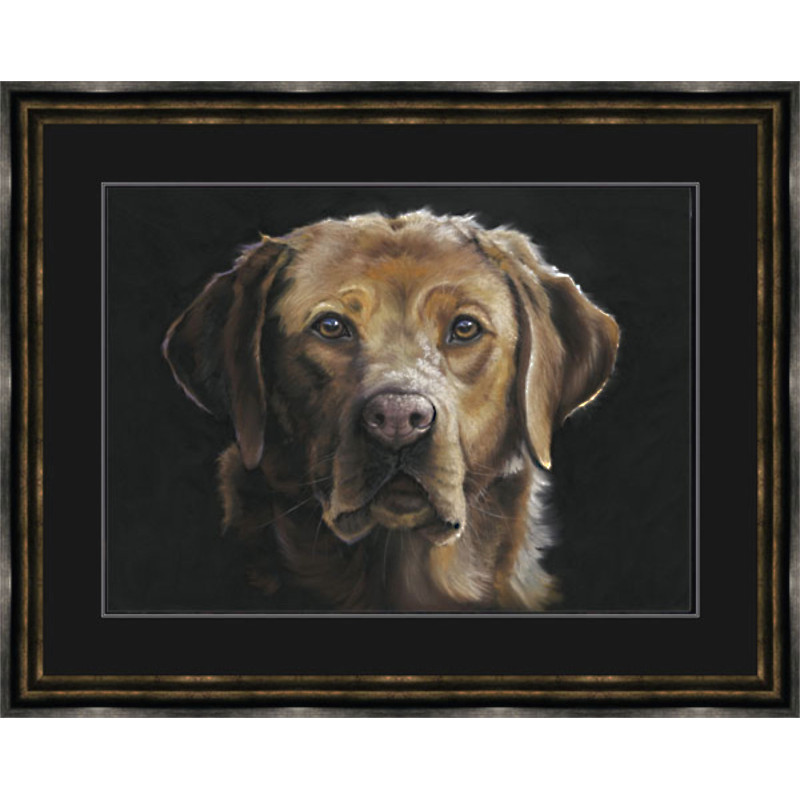 Red Eye - Fox Red Labrador LGE Red Eye - Fox Red Labrador LGE