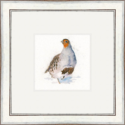 The Englishman (Grey Partridge) The Englishman (Grey Partridge)