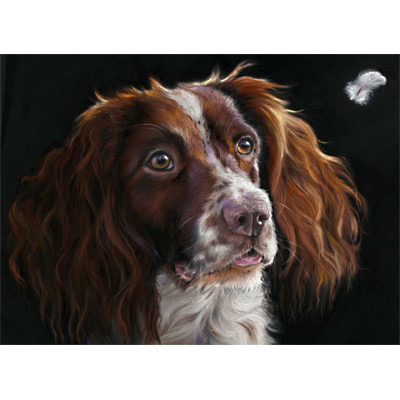 The Feather (Spaniel) - LGE