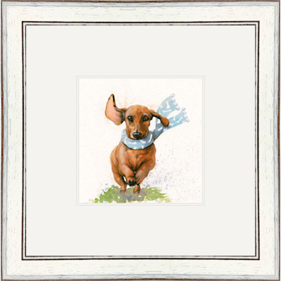 The Long and Short Of It (Dachshund) The Long and Short Of It (Dachshund)