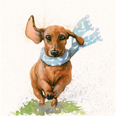 The Long and Short Of It (Dachshund)