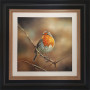 Sarah Eden - The Spectator  (Robin )