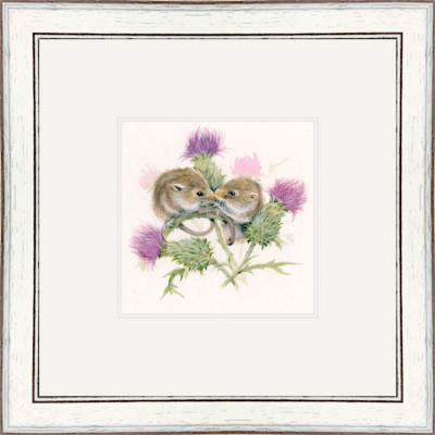 Thistle (Dormouse) Thistle (Dormouse)