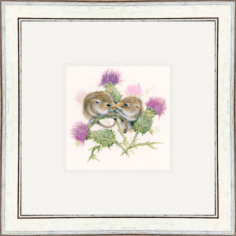 Thistle (Dormouse)